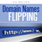 Domain Names Flipping (Unabridged) audio book by Liz Dalton