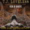 Dark Storms: Reign of the Braiders (Unabridged) audio book by T.J. Loveless