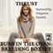 Buns in the Oven 2: Breeding Boxset (Unabridged) audio book by Thrust