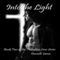 Into the Light: Forbidden Love, Book 2 (Unabridged) audio book by Danielle James