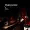 Shadowboy (Unabridged) audio book by Robert McCarroll