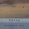 Spray: Girls Don't Surf! (Unabridged) audio book by Michael Uva