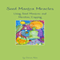 Seed Mantra Miracles: Using Seed Mantras and Meridian Tapping: Seed Mantra Series (Unabridged) audio book by Doron Alon
