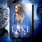 November Lake: Teenage Detective: The November Lake Mysteries, Book 2 (Unabridged) audio book by Jamie Drew