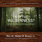 Why the Wilderness?: God Sends Angels After We Go Through! (Unabridged) audio book by Rev. Dr. Walter Brown Jr.
