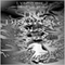 The Drawing of 9 (Unabridged)