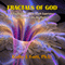 Fractals of God: A Psychologist's Near-Death Experience and Journeys into the Mystical (Unabridged) audio book by Kathy J. Forti Ph.D.