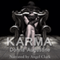 Karma: Karma Series, Book 1 (Unabridged)