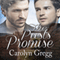 The Past's Promise (Unabridged)