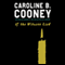 If the Witness Lied (Unabridged) audio book by Caroline B. Cooney