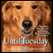 Until Tuesday (Unabridged) audio book by Luis Carlos Montalvan