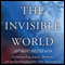 Angels All Around Us: A Sightseeing Guide to the Invisible World (Unabridged)