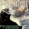 The Companions: Forgotten Realms: The Sundering, Book 1 (Unabridged) audio book by R.A. Salvatore