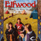 Elfwood: Castle Elfwood, Book 1 (Unabridged) audio book by Rose Estes