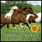 A Good Horse Is Never a Bad Color: Tales of Training Through Communication and Trust - 2nd Edition, Revised & Updated (Unabridged) audio book by Mark Rashid