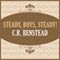Steady, Boys, Steady! (Unabridged) audio book by C. R. Benstead