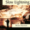 Slow Lightning (Unabridged) audio book by Mark Frutkin