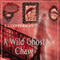 A Wild Ghost Chase (Unabridged) audio book by E. J. Copperman