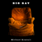 Big Ray (Unabridged) audio book by Michael Kimball