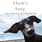 Flash's Song: How One Small Dog Turned into One Big Miracle (Unabridged) audio book by Kay Pfaltz