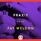 Praxis: A Novel (Unabridged) audio book by Fay Weldon