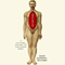 Anatomies: A Cultural History of the Human Body (Unabridged) audio book by Hugh Aldersey-Williams