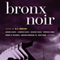 Bronx Noir (Unabridged) audio book by S.J. Rozan