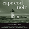 Cape Cod Noir (Unabridged) audio book by David L. Ulin