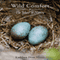 Wild Comfort: The Solace of Nature (Unabridged)