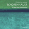 Schopenhauer: A Very Short Introduction (Unabridged) audio book by Christopher Janaway