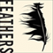 Feathers: The Evolution of a Natural Miracle (Unabridged) audio book by Thor Hanson