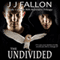 The Undivided: Rift Runners, Book 1 (Unabridged) audio book by J J Fallon