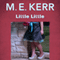 Little Little (Unabridged) audio book by M.E. Kerr