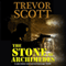 The Stone of Archimedes: A Jake Adams International Espionage Thriller (Unabridged) audio book by Trevor Scott