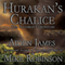 Hurakan's Chalice (Unabridged) audio book by Aiden James, Mike Robinson