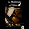 A Multitude of Sins: A Conan Flagg Mystery (Unabridged) audio book by M. K. Wren