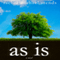 As Is (Unabridged) audio book by Rachel Michael Arends