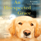An Unexpected Grace (Unabridged) audio book by Kristin von Kreisler