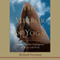 The Mirror of Yoga: Awakening the Intelligence of Body and Mind (Unabridged) audio book by Richard Freeman