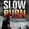 Slow Burn (Unabridged) audio book by Roxanne Longstreet