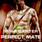 Perfect Mate (Unabridged) audio book by Mina Carter