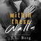 Within These Walls: Book 1 (Unabridged) audio book by J.L. Berg
