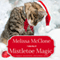 Mistletoe Magic (Unabridged) audio book by Melissa McClone