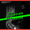 The Guardian (Unabridged) audio book by Bill Eidson