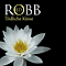 Tdliche Ksse (Eve Dallas 02) audio book by J. D. Robb