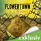 Flowertown. Die Sperrzone audio book by S.G. Redling