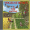 Vogelstimmen in Feld und Flur. Mit gesprochenen Erluterungen audio book by Karl Heinz Dingler, Andreas Schulze