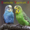 Exotische Vogelwelt 1. Vom Ararauna bis zum Zwergflamingo audio book by Karl-Heinz Dingler