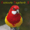 Exotische Vogelwelt 5. Vom Brillenstrling bis zum Zebrafink audio book by Karl-Heinz Dingler