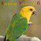 Exotische Vogelwelt 6. Vom Beo bis zum Weikehltinamu audio book by Karl-Heinz Dingler